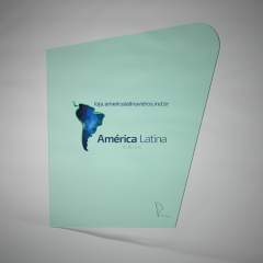 VIDRO FIXO DA JANELA DIR